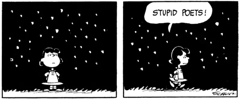 Philosophy Comics in Action: Panels from Peanuts by Schulz part 2: Lucie wonders about the meaning of life under the stars