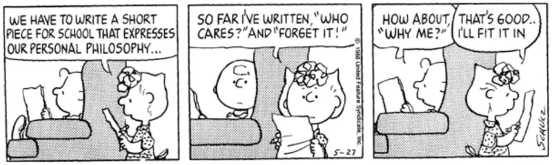 Philosophical Peanuts comic strip from May 27, 1988 exploring life's big questions