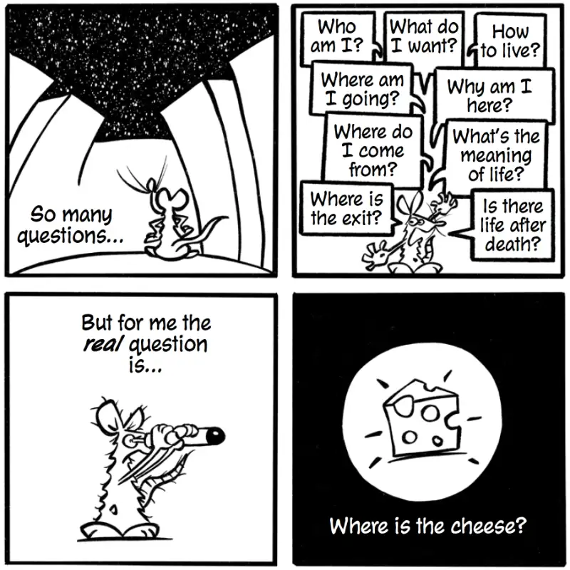 Four panels from The Labyrinth where a rat overwhelmed by existential questions aims a telescope and finds cheese, meaning through concrete pursuit